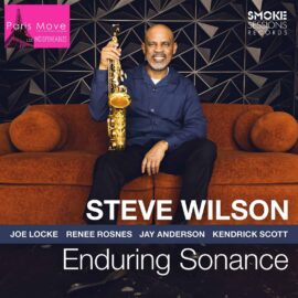 Steve Wilson - Enduring Sonance