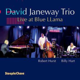 David Janeway Trio - Live at Blue Llama