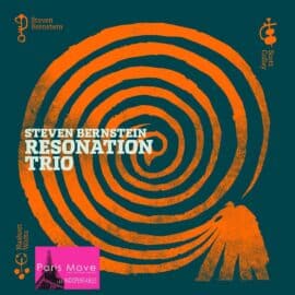 Steven Bernstein - Resonation Trio
