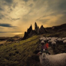 FRANCK CARDUCCI - Sheeple
