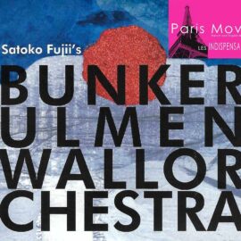 Sakoto Fujii - Bunker Ulmenwall Orchestra