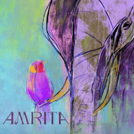 AMRITA – Amrita