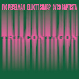 Ivo Perelman, Elliot Sharp, Cyro Baptista - Triacontagon