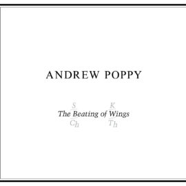 Andrew Poppy - The Beating of Wings: 40th anniversary edition