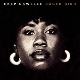 Ekep Nkwelle - Caged Bird